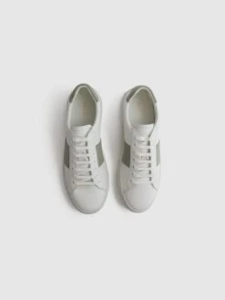 Reiss White/Sage Finley Stripe Leather Trainers -Reiss D18 849s3